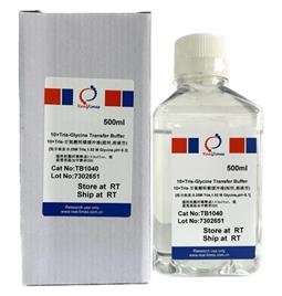 10×Tris-甘氨酸转膜缓冲液（湿转，溶液型）