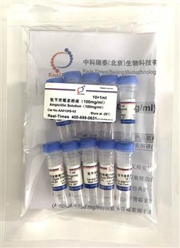 氨苄青霉素溶液(100mg/ml)