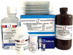 Tris-醋酸-SDS-PAGE电泳试剂盒（变性电泳，含塑料板预制胶）10次