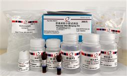 普通质粒小提试剂盒