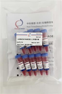 2×BN/CN-PAGE蛋白上样缓冲液