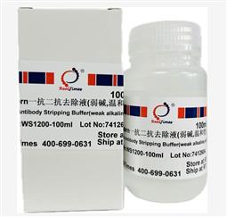快速抗体剥离液（免封闭）
