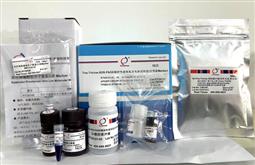 Tris-Tricine-SDS-PAGE凝胶快速制备及电泳试剂盒（含预染Marker）
