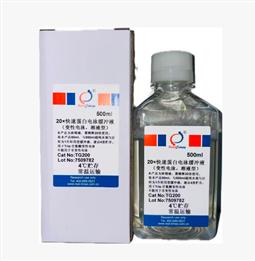 20×快速蛋白电泳缓冲液（变性电泳，溶液型）