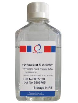 10×RealBlot快速转膜液