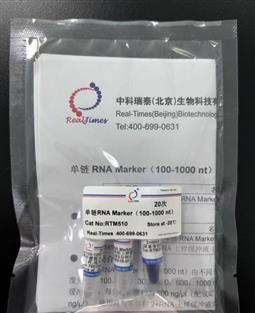 单链RNA Marker（100-1000 nt）