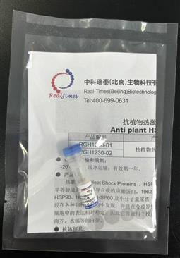 抗植物热激蛋白90抗体（Anti plant HSP90 Antibody）