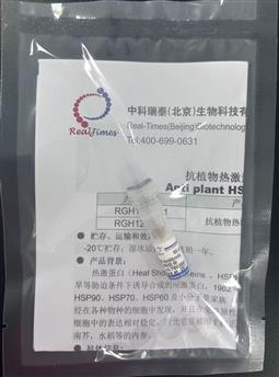 抗植物热激蛋白90抗体（Anti plant HSP90 Antibody）
