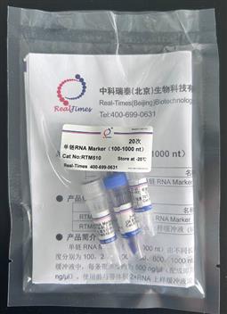 单链RNA Marker（100-1000 nt）