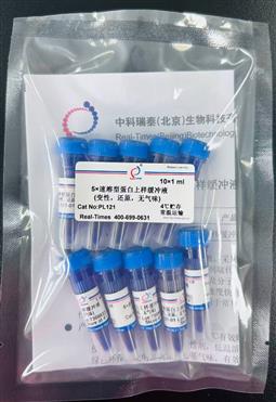 5×速溶型蛋白上样缓冲液(蓝色，变性，还原，无气味) 10×1ml
