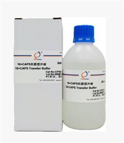 10×CAPS转膜缓冲液